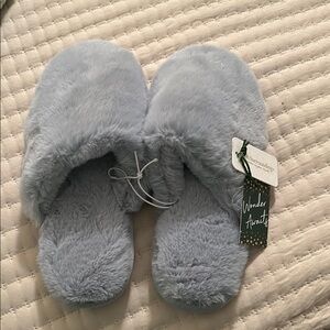 Wonderly Plush Slippers in Light Blue